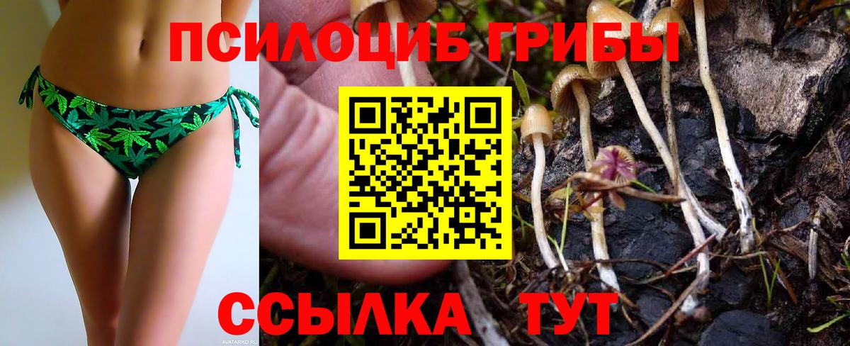Лсд 25 Боровичи