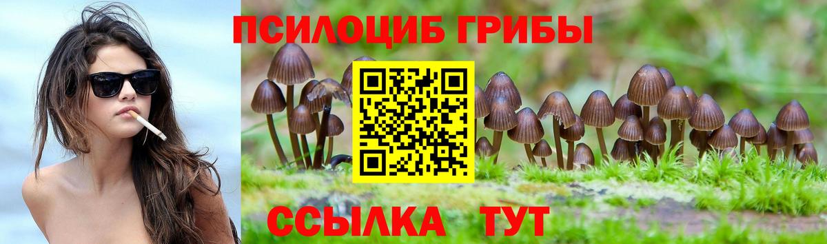 дарнет шоп  Галлюциногенные грибы GOLDEN TEACHER  Вход с VPN  Боровичи 