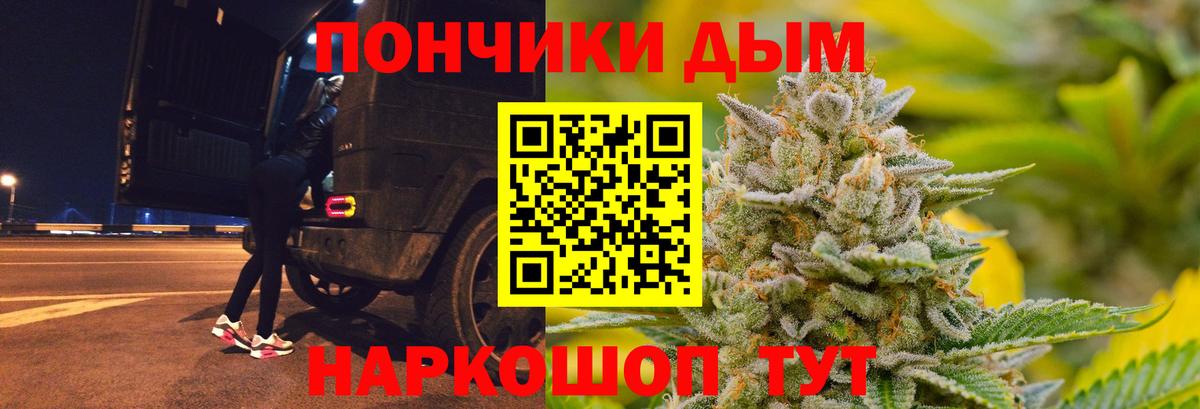 Бошки марихуана сатива  Вход с VPN  Бошки Шишки гибрид  Шишки марихуана план  Конопля Bruce Banner  Боровичи 
